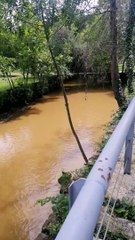 Depressão Oscar em Chaves