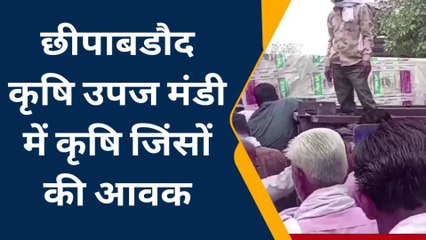 छबड़ा- छीपाबडौद कृषि उपज मंडी में कृषि जिंसों की आवक, देखिए आगे