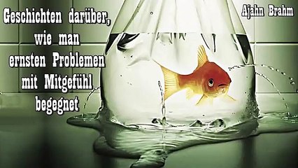 Geschichten darüber, wie man ernsten Problemen mit Mitgefühl begegnet - Ajahn Brahm