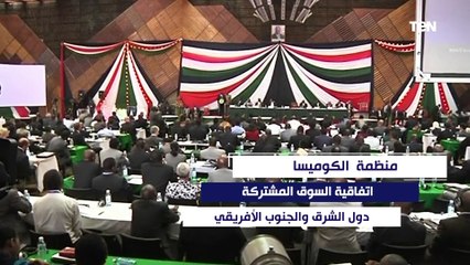 منظمة الكوميسا.. تهدف لإلغاء القيود التجارية بين دول أعضاء التجمع تمهيدًا لإنشاء وحدة اقتصادية