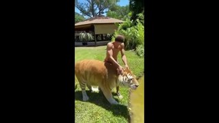 Best Funny Animal Videos of the year 2023 funniest animals ever relax with cute animals