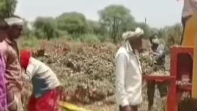 नरसिंहपुर: MSP में मूल्य वृद्धि पर किसानों में दिखा उत्साह, देखें क्या कहा
