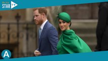 Prince Harry et Meghan Markle : Leur fille Lilibet snobée par Kate et William ? Leur réaction critiq