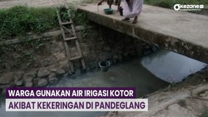 Warga Gunakan Air Irigasi Kotor Untuk Beraktivitas Akibat Kekeringan di Pandeglang