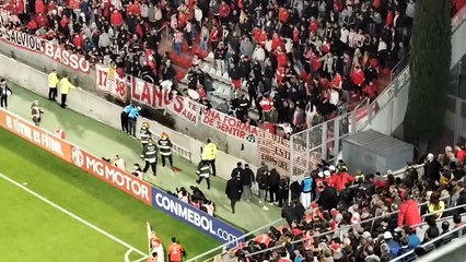 El hincha fue rescatado por los bomberos y quiso volver a ingresar a la tribuna