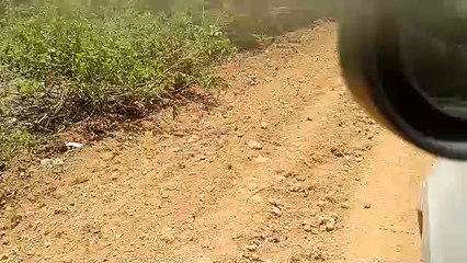 साइड सोल्डर में मुरूम की जगह डाली जा रही मिट्टी