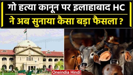 Allahabad HC का बड़ा फैसला, गाय रखना ले जाना गो हत्या कानून के तहत अपराध नहीं | वनइंडिया हिंदी