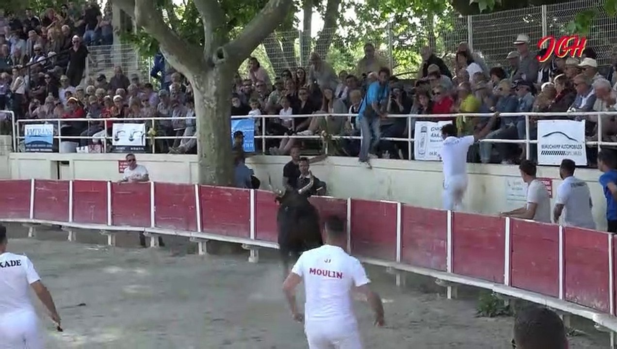 RIGAU manade Saumade à Fourques 8 Mai 2023