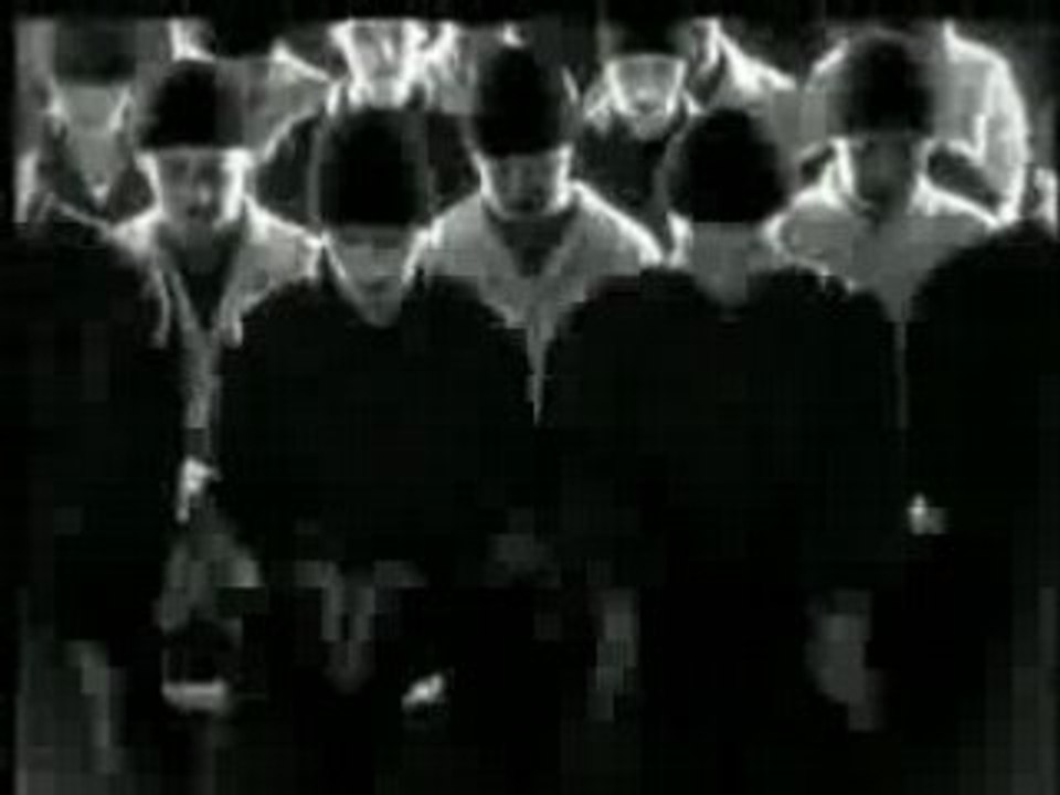 Vilain Pingouin - P'tite vie p'tite misere