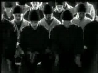 Vilain Pingouin - P'tite vie p'tite misere