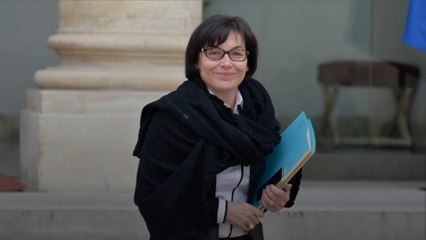 La présidente de la région Occitanie s'excuse après ses propos chocs sur Yannick Noah et