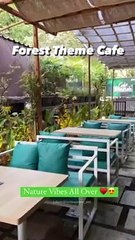 Forest Theme Cafe In The Middle Of The City @cafe.bhratah  Pune City