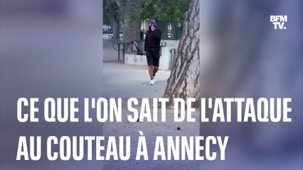 Annecy: ce que l'on sait de l'attaque au couteau dans un parc
