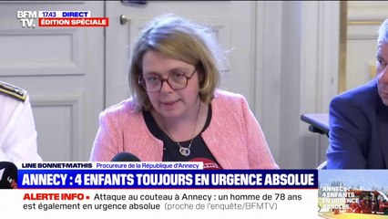 Attaque au couteau à Annecy: l'agresseur est "un sans domicile fixe" arrivé à Annecy "pendant l'automne 2022"