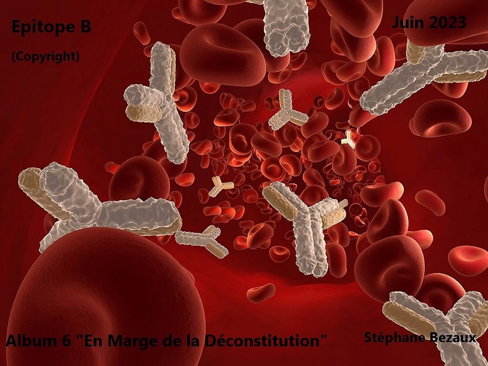 EPITOPE B