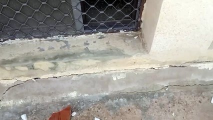 मत्स्य विश्वविद्यालय के नए भवन  में एक इंच दरारें, देखें वीडियों