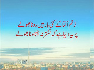 زخم اکتا کے کئی بار ہیں رونا بھولے