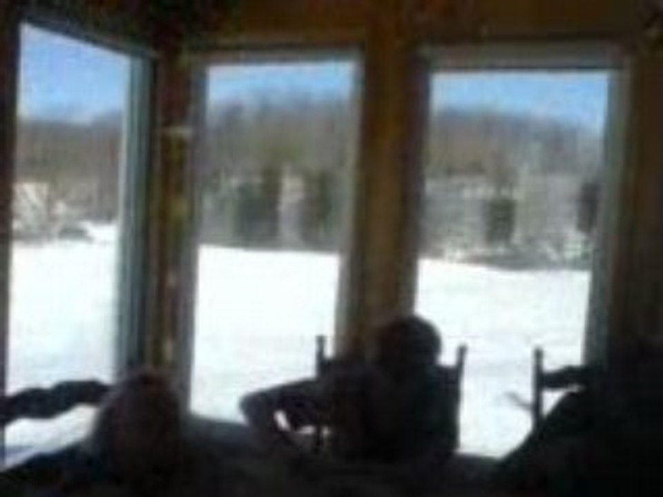 Cabane a sucre 1
