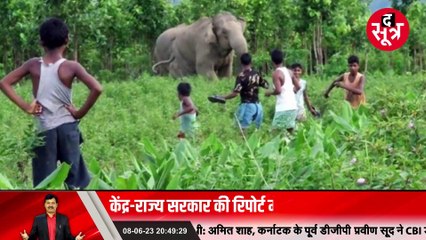 वाइल्ड लाइफ इंस्टीट्यूट की रिपोर्ट में बड़ा खुलासा, इस मामले में मेल नहीं खा रहे केंद्र और राज्य सरकार के आंकड़े!