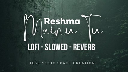 Mainu Tu-Reshma (OST Kamli) Lofi - Slowed - Reverb