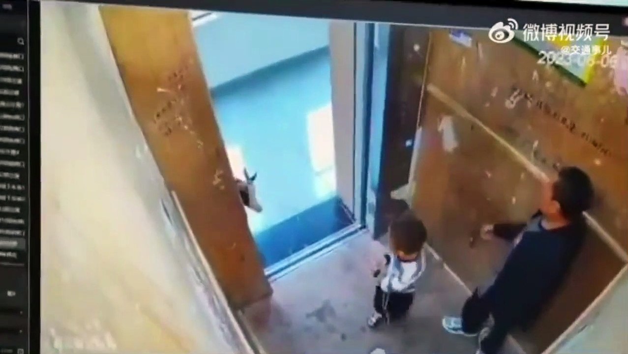 Ce papa sauve son fils coincé avec la laisse du chien dans l'ascenseur