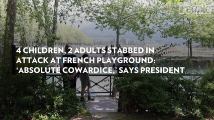 4 Children, 2 Adults Stabbed in Attack at French Playground: 'Absolute Cowardice,' Says President