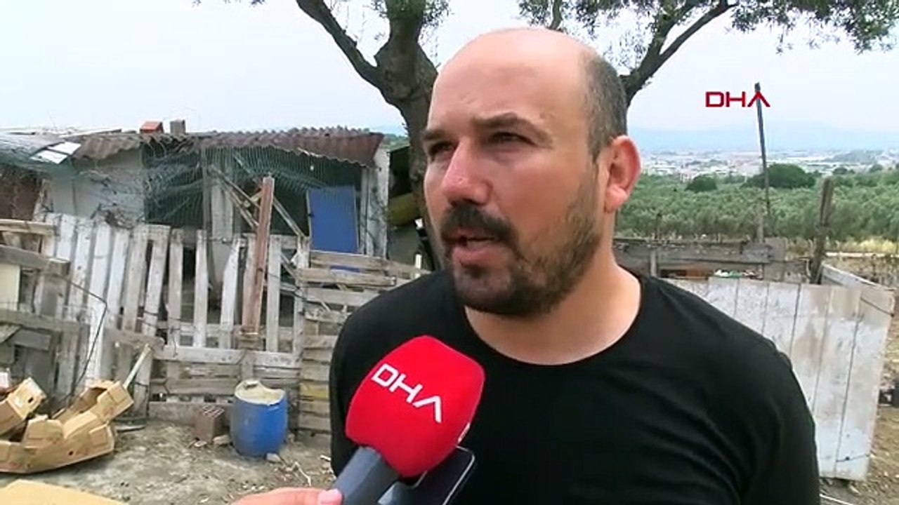 Berger tué, propriétaire de la ferme arrêté dans l'attaque d'une ferme