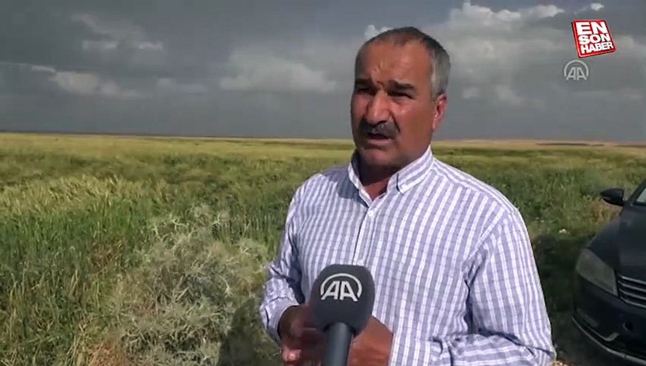 Şırnak semalarında artık zirai ilaçlama yapan ZİHA'lar uçuyor