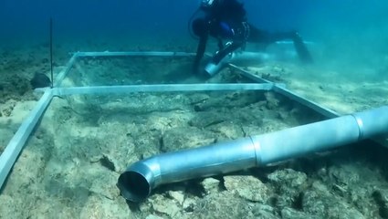 Remains of Neolithic road uncovered in waters of Adriatic Sea off Croatia coast