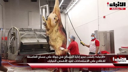 «الأنباء» رافقت مدير إدارة المسالخ في جولة على مسلخ العاصمة للاطلاع على الاستعدادات لعيد الأضحى المبارك