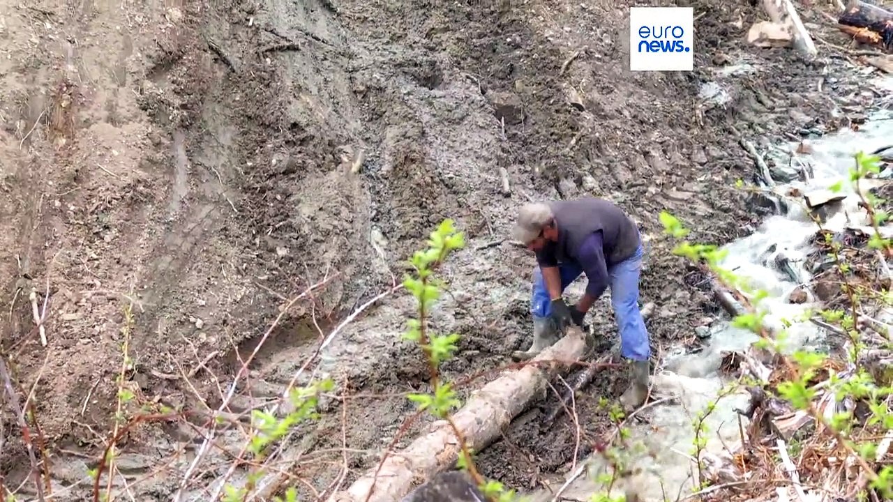 'Ziemlich wütend': EU-Abgeordnete untersuchen illegale Abholzung in Rumänien