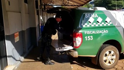Homem que agrediu mulher grávida de oito meses é detido pela GM