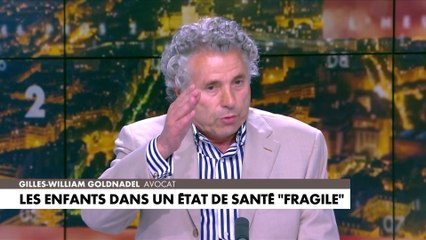 Gilles-William Goldnadel : «Dire la réalité, constater, jour après jour le lien entre insécurité et immigration, ce n'est jamais le bon moment»