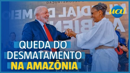 Desmatamento na Amazônia cai 31% no governo Lula