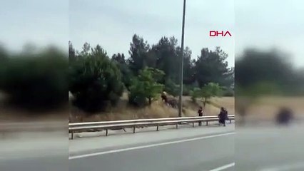 Les immigrants illégaux ont fui vers la forêt après l'incendie d'Izmir