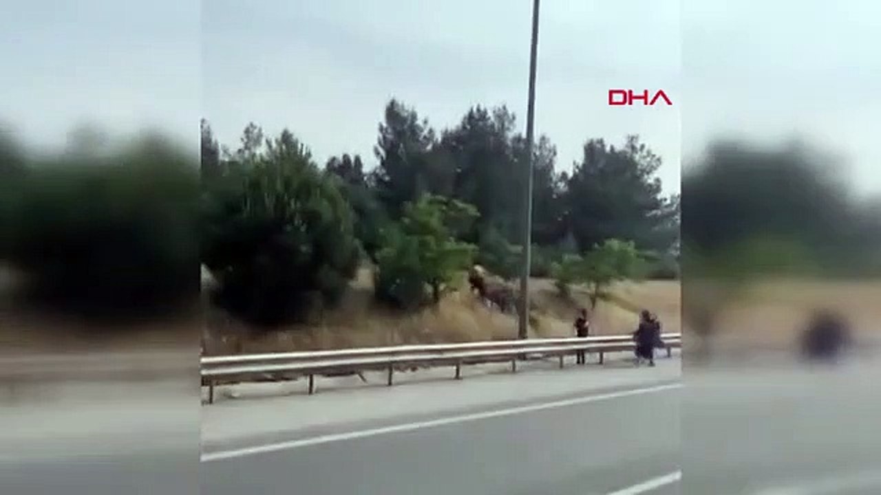 Les immigrants illégaux ont fui vers la forêt après l'incendie d'Izmir