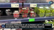 OKDIARIO comprueba si las alemanas Aldi y Lidl venden en España fresa y tomate de nuestras huertas