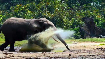 Big Beasts Saison 1 - Trailer (EN)