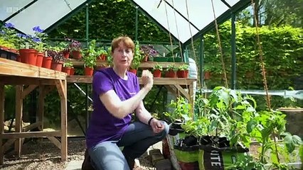 The Beechgrove Garden 2023 episode 10