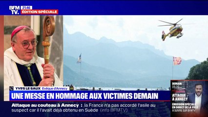 Download Video: Attaque au couteau à Annecy: 