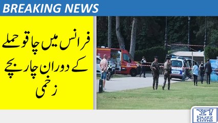 Four children injured during knife attack in France