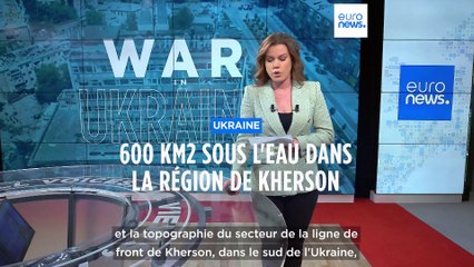 Guerre en Ukraine : la situation au 8 juin 2023, cartes à l'appui