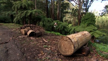 Residents struggle with insurance and building costs two years on from massive storm