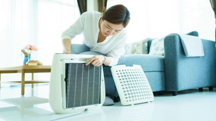 How to Clean an Air Purifier