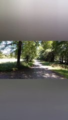 Parc du château de Vizille   Musée de la Révolution française Domaine de Vizille #vizille #france  (10)