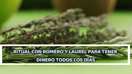 QUEMAR HOJAS DE LAUREL PARA GANAR DINERO:CÓMO HACER ESTE RITUAL EN LA CASA Y EL NEGOCIO