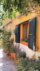 Mallorca Spain Travel 2023