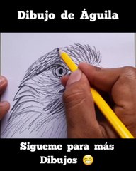 How to draw an eagle easy