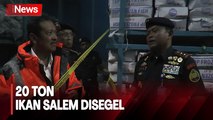 Penampakan 20 Ton Ikan Salem Impor Tak Sesuai Peruntukan yang Disegel Menteri KP di Batam