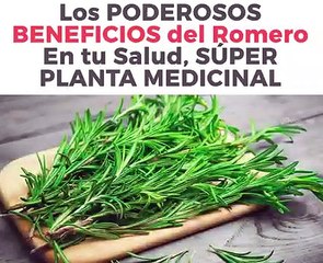 09. Los Poderosos Beneficios del Romero En Tu Salud, Superplanta Medicinal